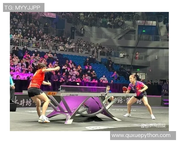 杭州乒乓球队区域防守创新探索与实践分析全面解读