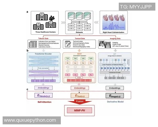 成都滑板队速度表现数据分析揭示训练效果与运动员潜力的关系